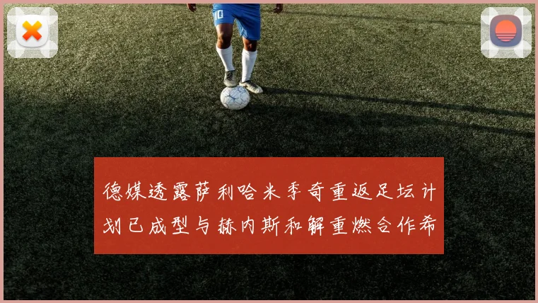 德媒透露萨利哈米季奇重返足坛计划已成型与赫内斯和解重燃合作希望