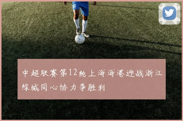 中超联赛第12轮上海海港迎战浙江绿城同心协力争胜利